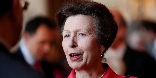Britain's Anne, Princess Royal attends a reception to mark the centenary of the National Council for Voluntary Organisations at Windsor Castle, Britain April 2, 2019. Jonathan Brady/Pool via REUTERS - RC1FAFADF2B0