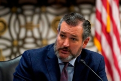Senator Ted Cruz (R-Texas) (Photo by SUSAN WALSH/POOL/AFP via Getty Images)